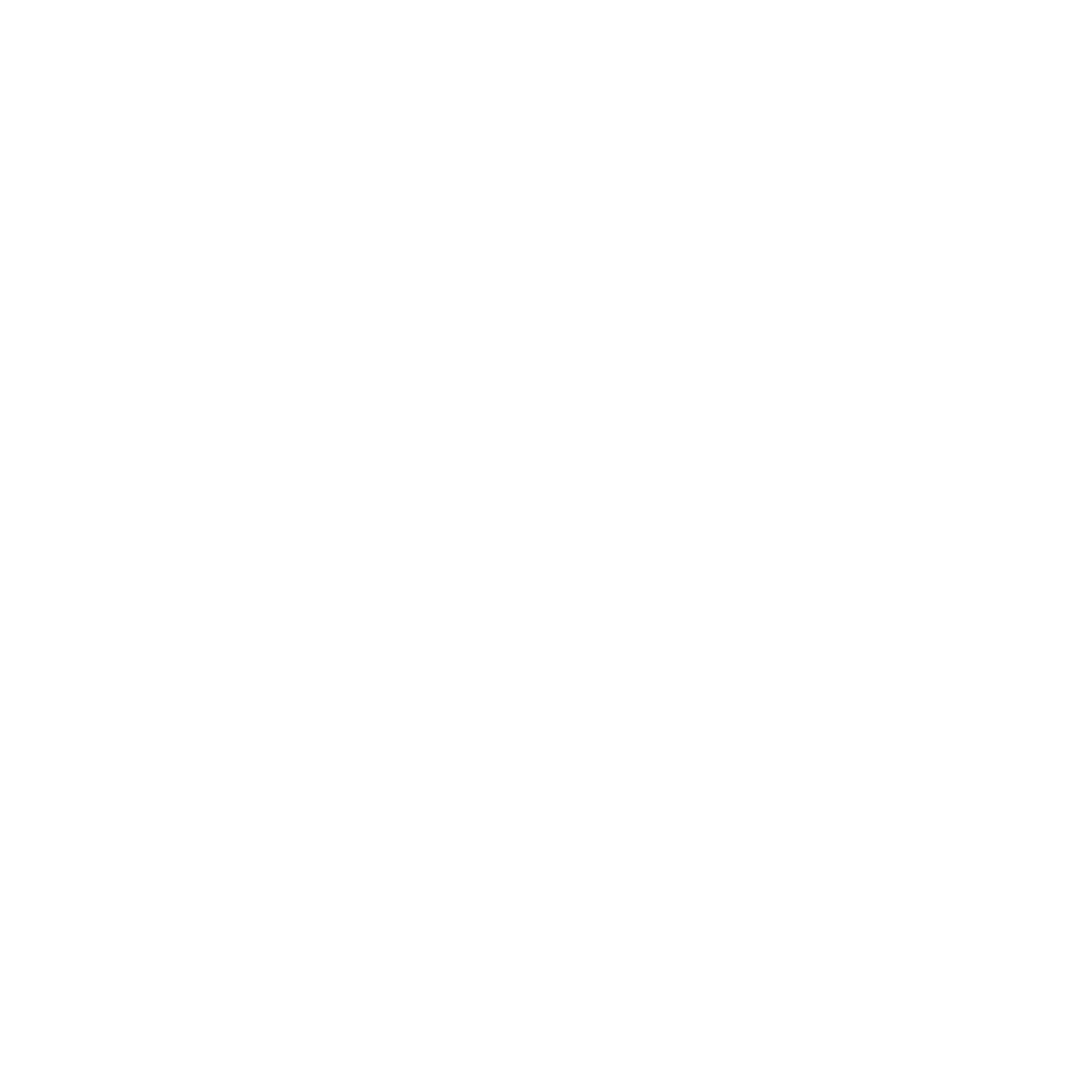 Navigation icon