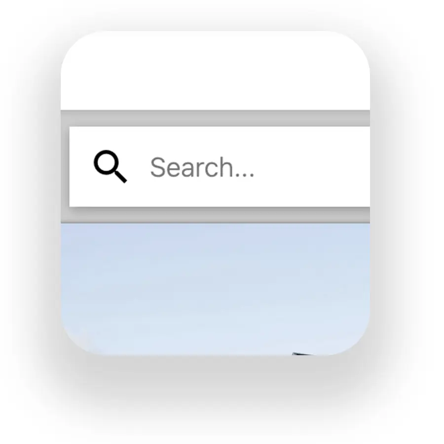 Screenshot of a search bar