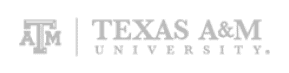 Texas A&M pixel Logo