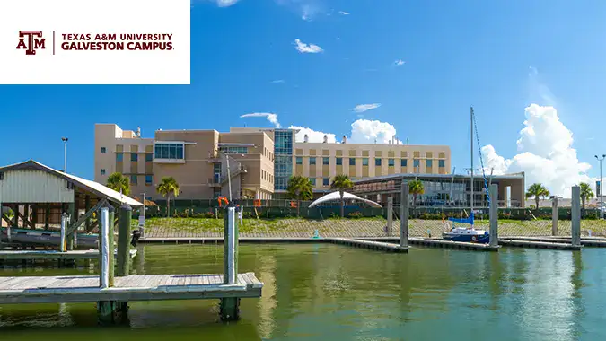 Texas AM Galveston case study preview