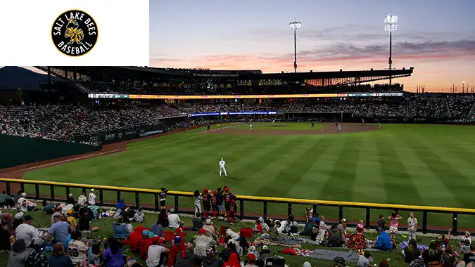 Salt Lake Bees case study preview